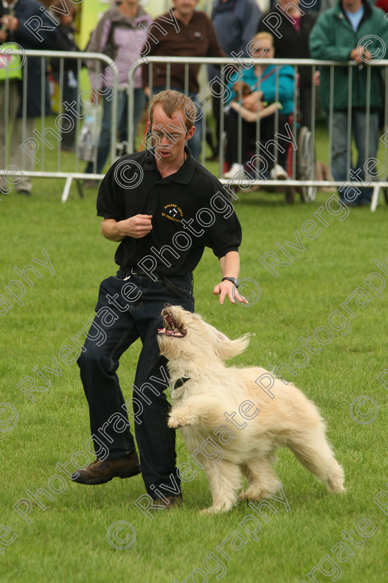 AWC 7262 
 Keywords: 2010, Kent, MDS Shows Ltd, Paws in the Park, Richard Curtis, arena demonstrations, paddock wood, whizzy