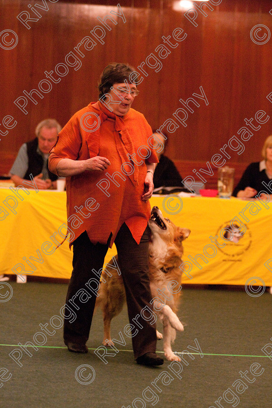 AWC 2213 
 Keywords: 2010, april, competition, heelwork to music, novice heelwork to music part 1, pam simpson, west glen