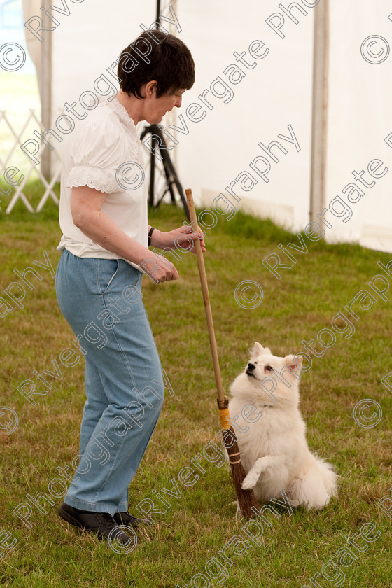 AWC 8150 
 Keywords: 2009, England, June, MDS Ltd, Paws in the Park, UK, broadlands, competition, hampshire, heelwork to music, paws in music, romsey