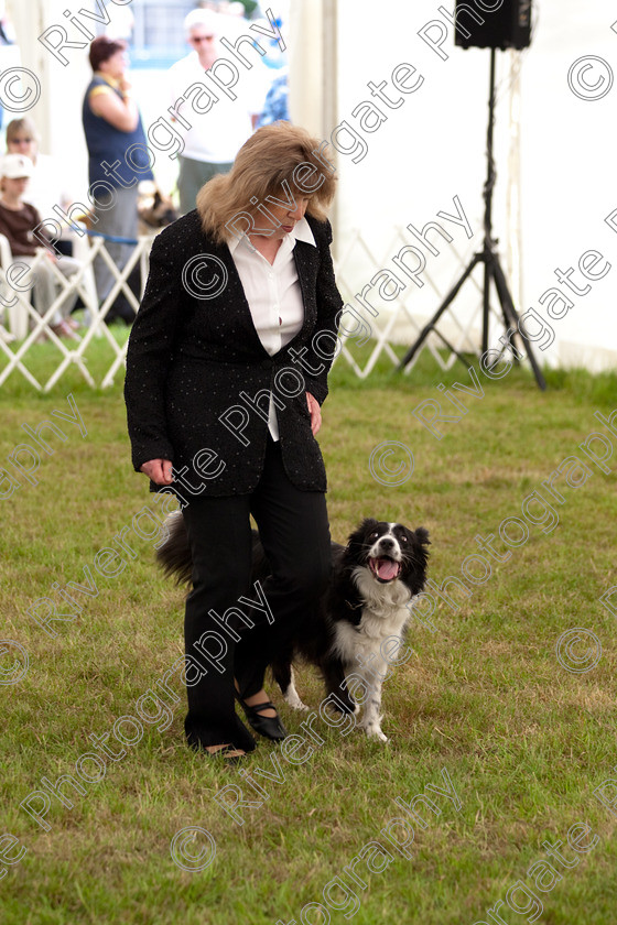 AWC 7992 
 Keywords: 2009, England, June, MDS Ltd, Paws in the Park, UK, broadlands, competition, hampshire, heelwork to music, paws and music, paws n music, romsey