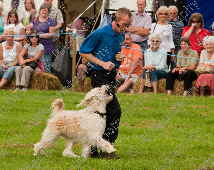 AWC 1373 
 Wanborough Country Show, August 2009, Richard Curtis' K9freestyle Dancing Dog Arena Display 
 Keywords: 2009, arena demonstration, arena display, august, canine freestyle, dog dancing, dog display, England, heelwork to music, k9freestyle, Lynch Field, Lynch Field, Wanborough, Wiltshire, England, UK, richard curtis, UK, wanborough country show, Wanborough, Wiltshire