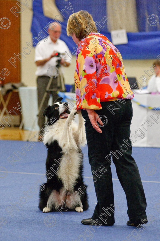 AWC 6804 
 Keywords: 2009, Ann Derizzio, Barbara Whittaker, Barnard Castle, Class 6b, County Durham, DL12 8DS, Heather Smith, Judges: Cathy Bates, May, Northern Mutts N Music, Robert De Myra, Royal Canin, Strathmore Road, Teesdale Sports Centre, border collie, canine freestyle, competition, heelwork to music