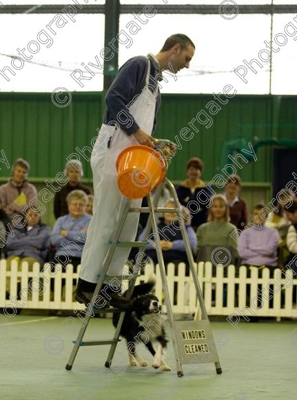 IMG 0103 
 Heelwork to Music and Canine Freestyle events and competition in 2006 held at the Connexion Leisure Centre, Ryton-on-Dunsmore, Coventry. 
 Keywords: 2006, UK, competition, coventry, dog, dog dancing, dog sport, february, heelwork to music, k9freestyle, ryton on dunsmore