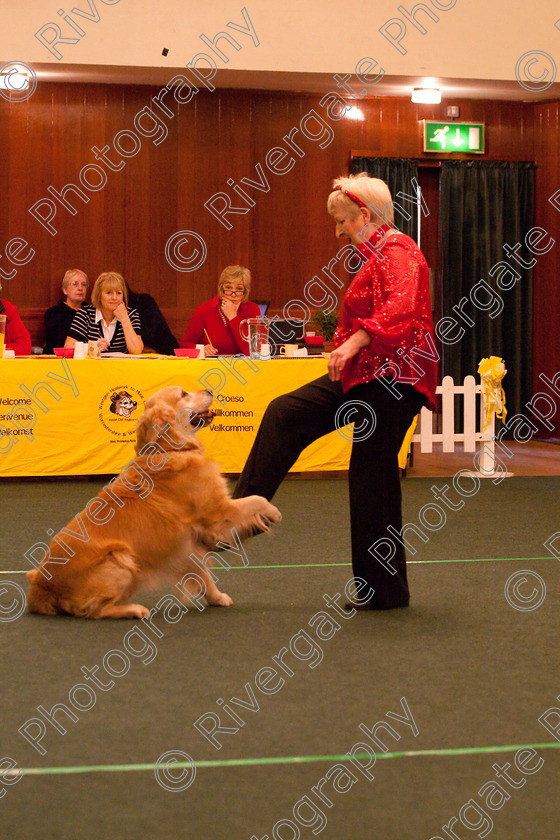 AWC 2799 
 Keywords: 2010, Intermediate Freestyle Part 2, Jeanette Fyfe, april, heelwork to music, westglen