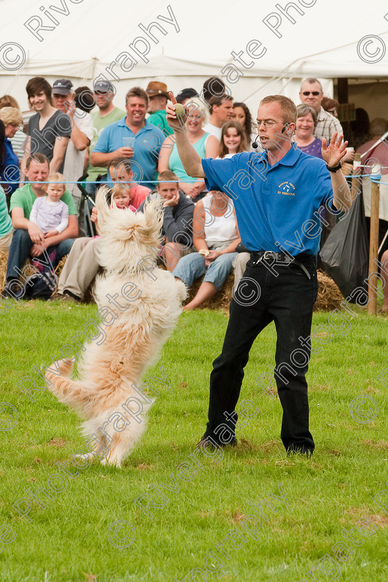 AWC 1388 
 Wanborough Country Show, August 2009, Richard Curtis' K9freestyle Dancing Dog Arena Display 
 Keywords: 2009, arena demonstration, arena display, august, canine freestyle, dog dancing, dog display, England, heelwork to music, k9freestyle, Lynch Field, Lynch Field, Wanborough, Wiltshire, England, UK, richard curtis, UK, wanborough country show, Wanborough, Wiltshire