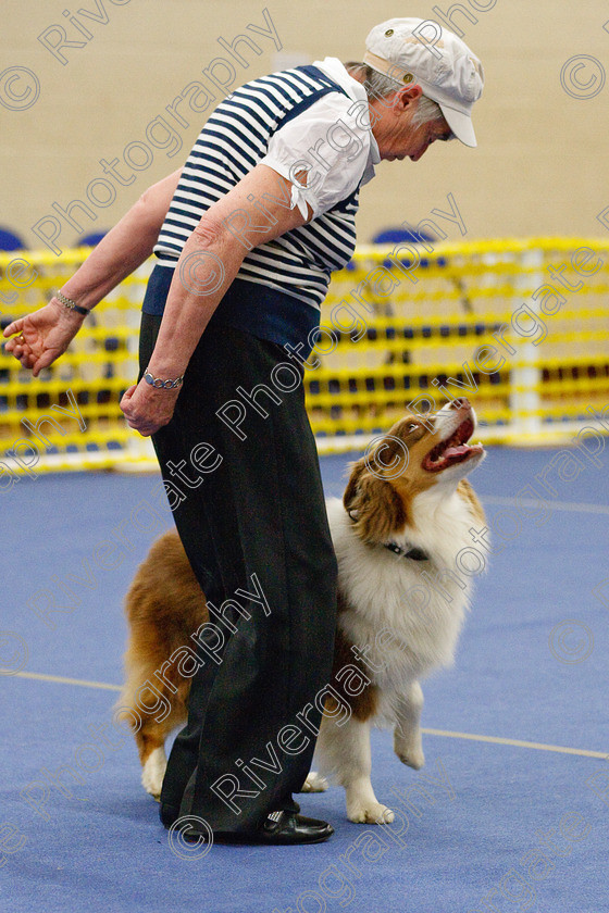 AWC 6457 
 Keywords: 2009, Barnard Castle, County Durham, DL12 8DS, Judges: Jackie Clarke, May, Northern Mutts N Music, Royal Canin, Starters Freestyle, Strathmore Road, Teesdale Sports Centre, canine freestyle, competition, heelwork to music