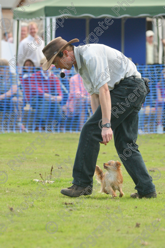 AWC 7082 
 Keywords: 2010, Chobham, Millbrook Animal Centre, RSPCA, Richard Curtis, arena demonstration, september