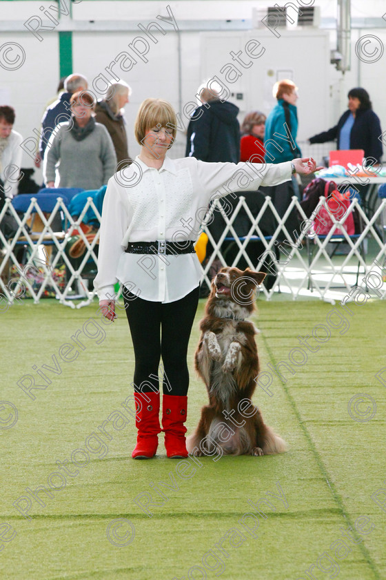 AWC 0755 
 Keywords: heelwork to music competition, rugby dog club