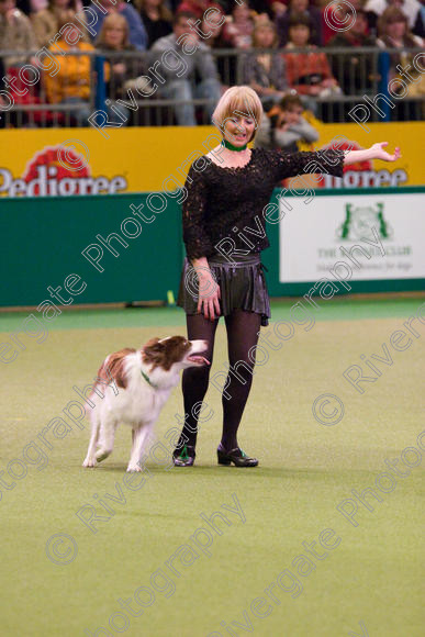 IMG 7308 
 Crufts Heelwork to Music and Canine Freestyle Competition Finals 
 Keywords: 2008, Arena, Display, NEC, WS, birmingham, canine freestyle, crufts, dancing, dogs, heelwork to music, htm, kath hardman, march, performance, reflections of ginger, working sheepdog