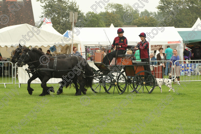 AWC 7197 
 Keywords: 2010, Kent, MDS Shows Ltd, Paws in the Park, arena demonstrations, carraige dogs, dalmatians, paddock wood