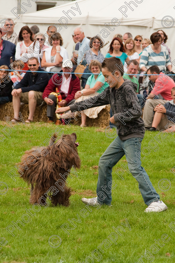 AWC 1462 
 Wanborough Country Show, August 2009, Richard Curtis' K9freestyle Dancing Dog Arena Display 
 Keywords: 2009, arena demonstration, arena display, august, canine freestyle, dog dancing, dog display, England, heelwork to music, k9freestyle, Lynch Field, Lynch Field, Wanborough, Wiltshire, England, UK, richard curtis, UK, wanborough country show, Wanborough, Wiltshire