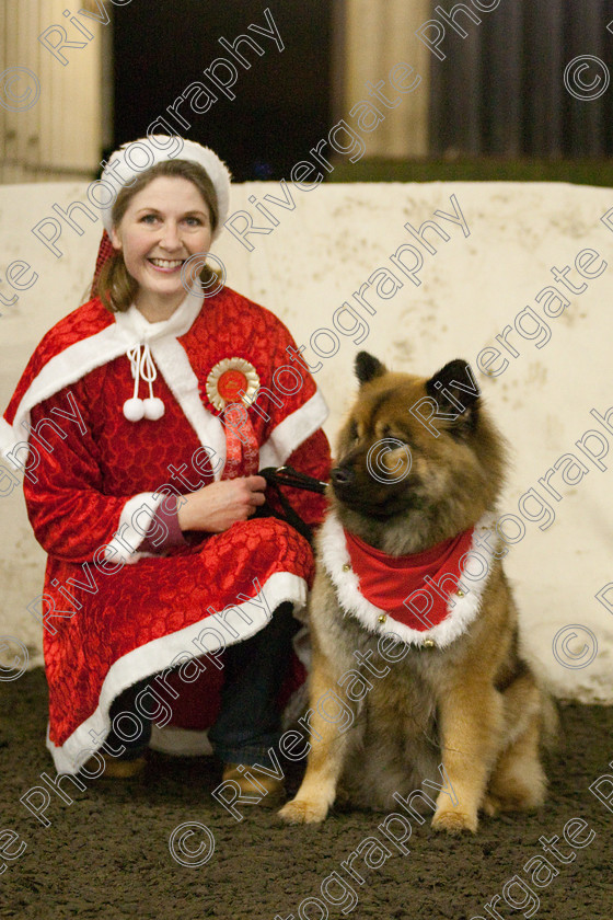 AWC 8148 
 Keywords: 2009, Fancy Dress, Xmas Party, december, dogs, wellow agility club