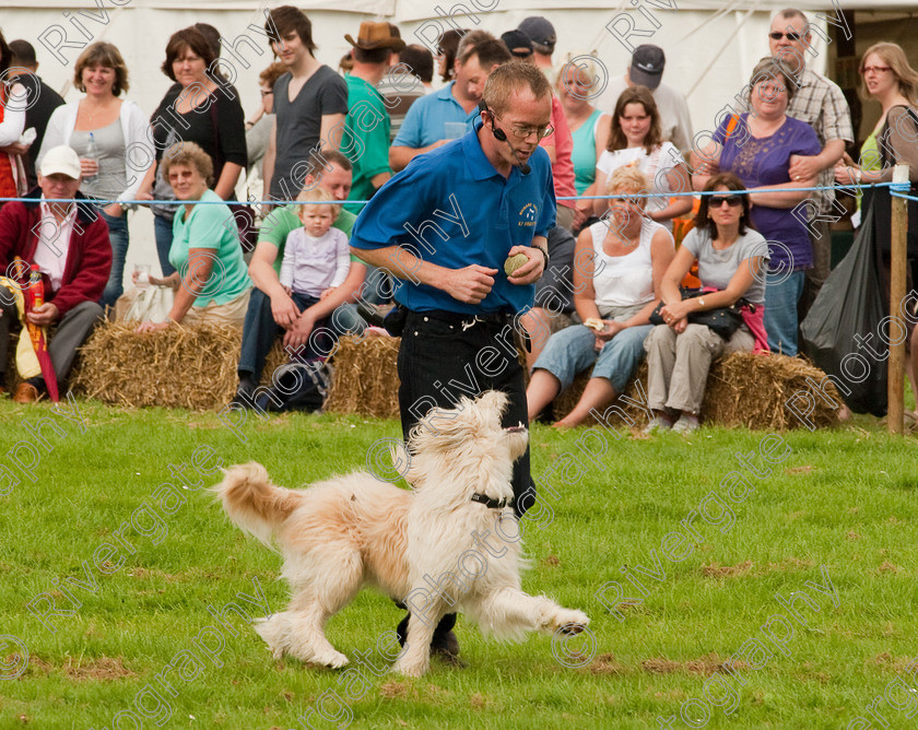 AWC 1369 
 Wanborough Country Show, August 2009, Richard Curtis' K9freestyle Dancing Dog Arena Display 
 Keywords: 2009, arena demonstration, arena display, august, canine freestyle, dog dancing, dog display, England, heelwork to music, k9freestyle, Lynch Field, Lynch Field, Wanborough, Wiltshire, England, UK, richard curtis, UK, wanborough country show, Wanborough, Wiltshire