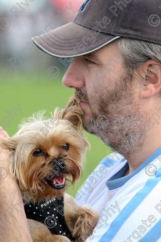 AWC 7306 
 Keywords: 2010, Kent, MDS Shows Ltd, Paws in the Park, arena demonstrations, baseball cap, man, paddock wood, puppy, yorkie