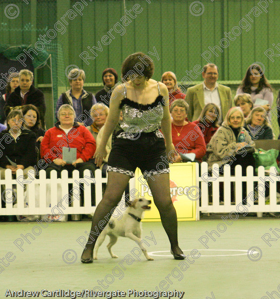 IMG 0905-Edit 
 Heelwork to Music and Canine Freestyle events and competition in 2005 held at the Connexion Leisure Centre, Ryton-on-Dunsmore, Coventry. 
 Keywords: 2005, UK, competition, coventry, dog, dog dancing, dog sport, february, heelwork to music, k9freestyle, ryton on dunsmore