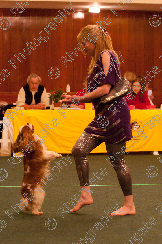 AWC 2682 
 Keywords: 2010, Intermediate Freestyle, april, heelwork to music, sandra hallam, westglen