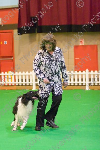 IMG 8517 
 Heelwork to Music and Canine Freestyle Competitions held at Westglen in April 2008 
 Keywords: 2008, Bilford Road, Perdiswell Leisure Centre, WR3 8DX, Worcester, april, competition, heelwork to music, westglen, paula ackary