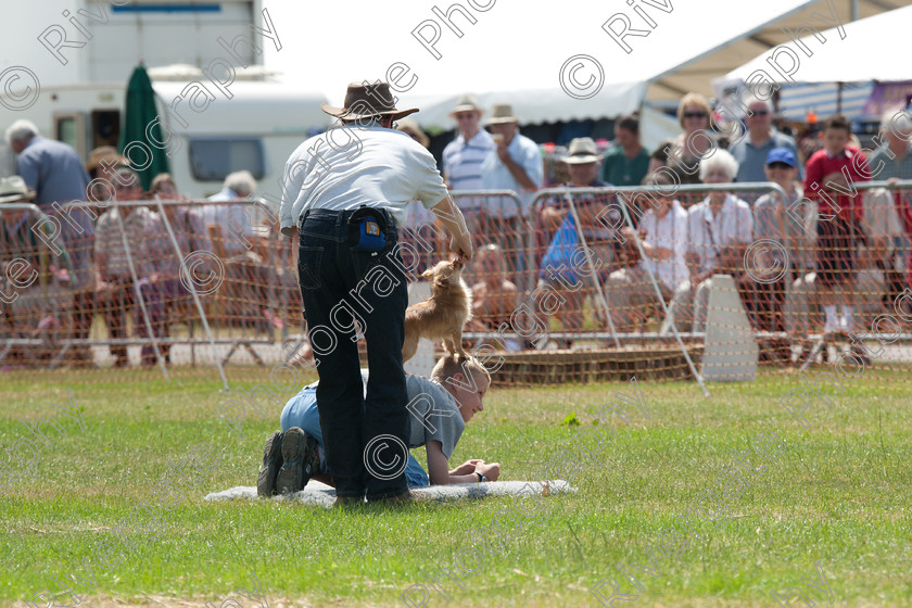 AWC 5188 
 Keywords: 2010, Ardingly, Demonstration, Richard Curtis, Smallholders Show, july, k9freestyle arena display