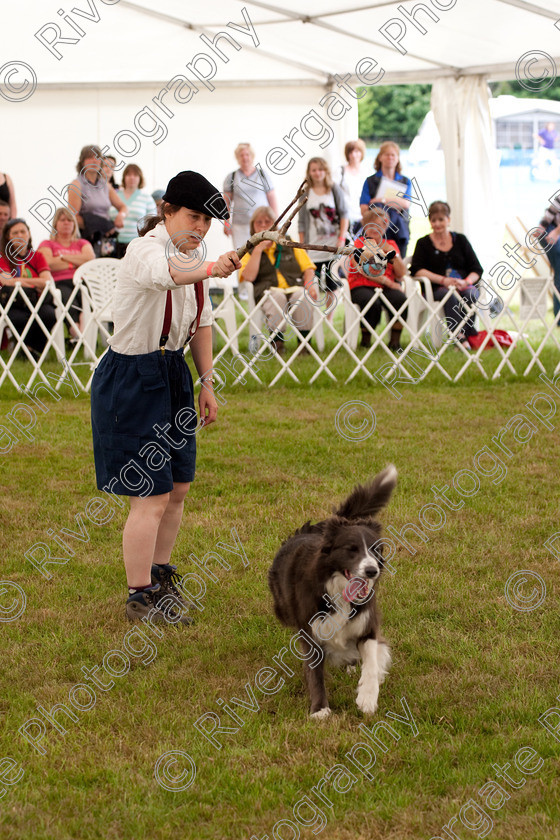 AWC 8101 
 Keywords: 2009, England, June, MDS Ltd, Paws in the Park, UK, broadlands, competition, hampshire, heelwork to music, paws in music, romsey