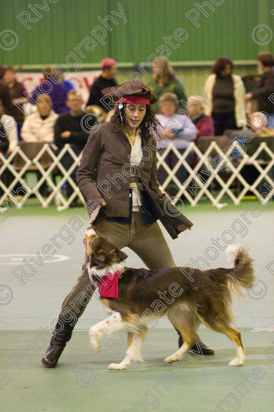 IMG 6332 
 Keywords: 2008, K9 Freestyle, Rugby DTC, canine freestyle, competition, connexions leisure centre, coventry, dancing dogs, february, heelwork to music, k9freestylegb, ryton on dunsmore