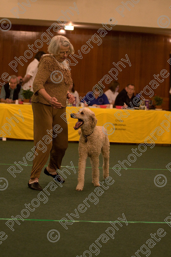 AWC 1656 
 Keywords: 2010, ann williams, april, competition, heelwork to music, starters heelwork to music part 1, west glen