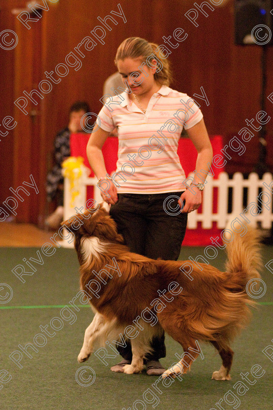 AWC 2281 
 Keywords: 2010, Nicci Hindson, april, competition, heelwork to music, novice heelwork to music part 2, west glen