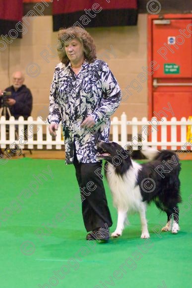 IMG 8514 
 Heelwork to Music and Canine Freestyle Competitions held at Westglen in April 2008 
 Keywords: 2008, Bilford Road, Perdiswell Leisure Centre, WR3 8DX, Worcester, april, competition, heelwork to music, westglen, paula ackary