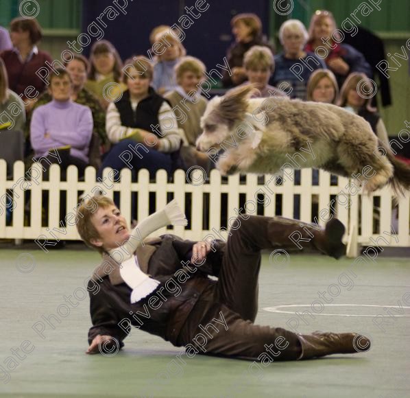 IMG 0145 
 Heelwork to Music and Canine Freestyle events and competition in 2006 held at the Connexion Leisure Centre, Ryton-on-Dunsmore, Coventry. 
 Keywords: 2006, UK, competition, coventry, dog, dog dancing, dog sport, february, heelwork to music, k9freestyle, ryton on dunsmore