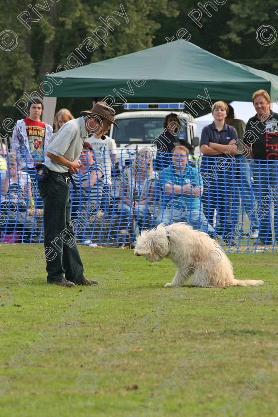 AWC 6959 
 Keywords: 2010, Chobham, Millbrook Animal Centre, RSPCA, Richard Curtis, arena demonstration, september