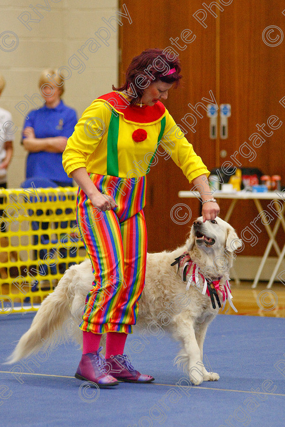 AWC 6324 
 Keywords: 2009, Anita Hartland, Aprix Alford, Barnard Castle, County Durham, DL12 8DS, Judges Jeanette Fyfe, May, Northern Mutts N Music, Paudell Precious Gem, Royal Canin, Starters Freestyle, Strathmore Road, Teesdale Sports Centre, canine freestyle, competition, golden retriever, heelwork to music, penny draper