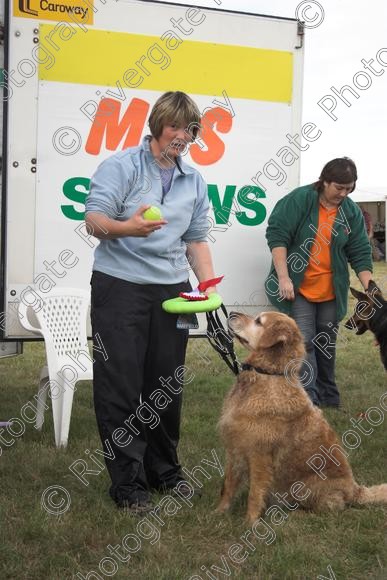 IMG 0450-01 
 Paws in the Park, 2005 MDS Shows Ltd Canford Park Arena, Poole, Dorset.