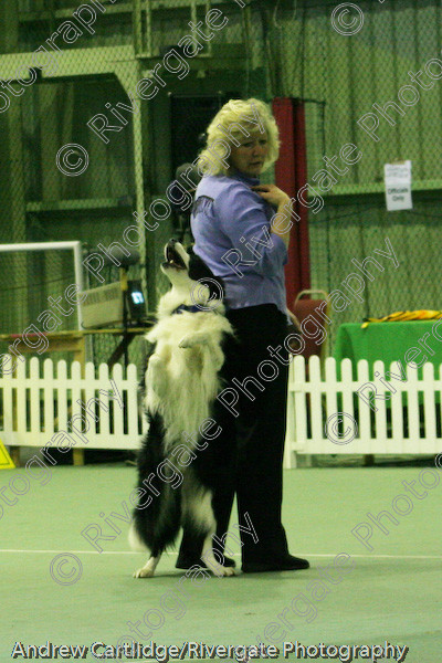 IMG 0920 
 Heelwork to Music and Canine Freestyle events and competition in 2005 held at the Connexion Leisure Centre, Ryton-on-Dunsmore, Coventry. 
 Keywords: 2005, UK, competition, coventry, dog, dog dancing, dog sport, february, heelwork to music, k9freestyle, ryton on dunsmore