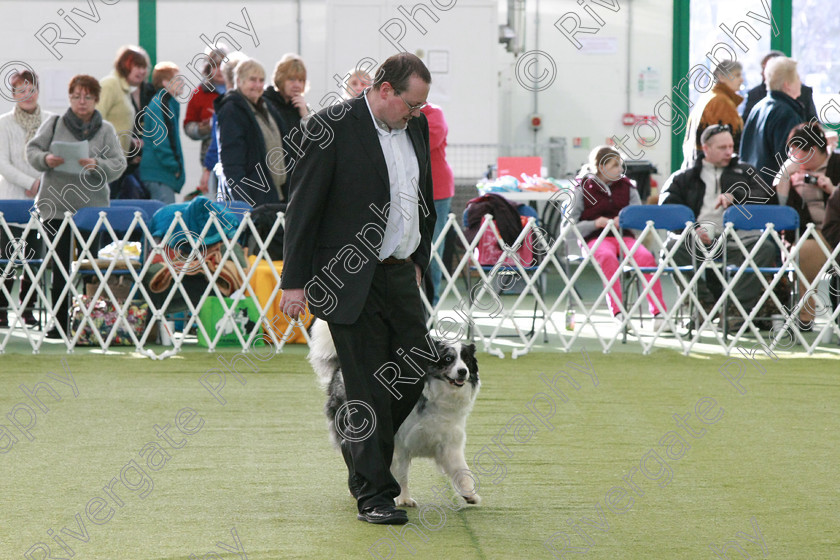 AWC 0654 
 Keywords: heelwork to music competition, rugby dog club