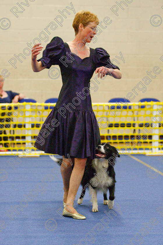 AWC 6130 
 Keywords: 2009, Advanced Heelwork to Music, Barnard Castle, Cathy Bates, County Durham, Crufts Semi-final Qualifier, DL12 8DS, May, Northern Mutts N Music, Royal Canin, Rusnsol Ruby, Strathmore Road, Teesdale Sports Centre, canine freestyle, competition, heelwork to music, working sheepdog