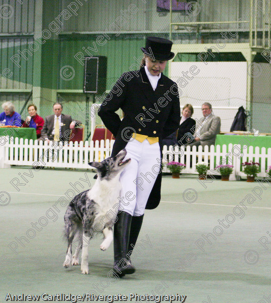 IMG 1088 
 Heelwork to Music and Canine Freestyle events and competition in 2005 held at the Connexion Leisure Centre, Ryton-on-Dunsmore, Coventry. 
 Keywords: 2005, UK, competition, coventry, dog, dog dancing, dog sport, february, heelwork to music, k9freestyle, ryton on dunsmore, tina humphrey