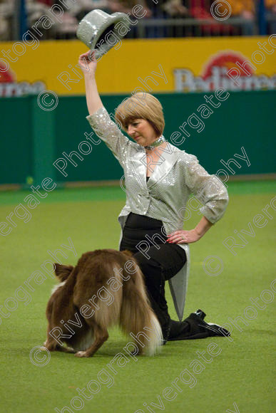 IMG 7539 
 Keywords: 2008, Arena, Display, NEC, birmingham, canine freestyle, crufts, dancing, dogs, heelwork to music, htm, march, performance