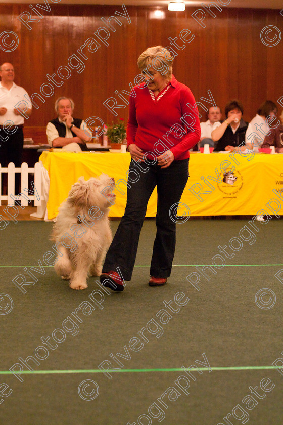 AWC 2901 
 Keywords: 2010, Novice Freestyle Part 1, april, heelwork to music, pat parsons, westglen