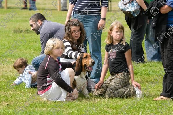 IMG 3236 
 Hatfield House Country Show 2008 Albany Bassett Hounds 
 Keywords: albany bassett hounds, hatfield house country show, meet and greet, pet, stroke