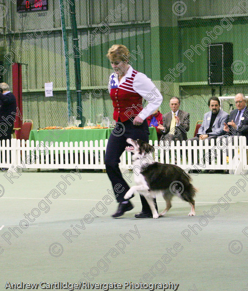 IMG 1115 
 Heelwork to Music and Canine Freestyle events and competition in 2005 held at the Connexion Leisure Centre, Ryton-on-Dunsmore, Coventry. 
 Keywords: 2005, UK, competition, coventry, dog, dog dancing, dog sport, february, heelwork to music, k9freestyle, mary ray, ryton on dunsmore