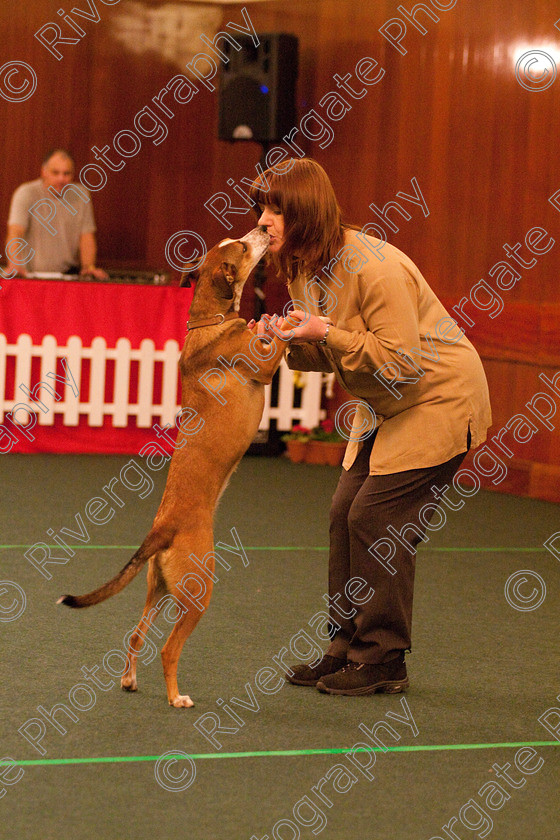 AWC 2193 
 Keywords: 2010, april, competition, heelwork to music, karen sykes, novice heelwork to music part 1, west glen