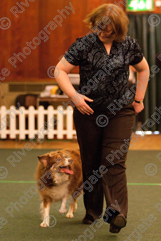 AWC 2288 
 Keywords: 2010, april, competition, gail moore, heelwork to music, novice heelwork to music part 2, west glen