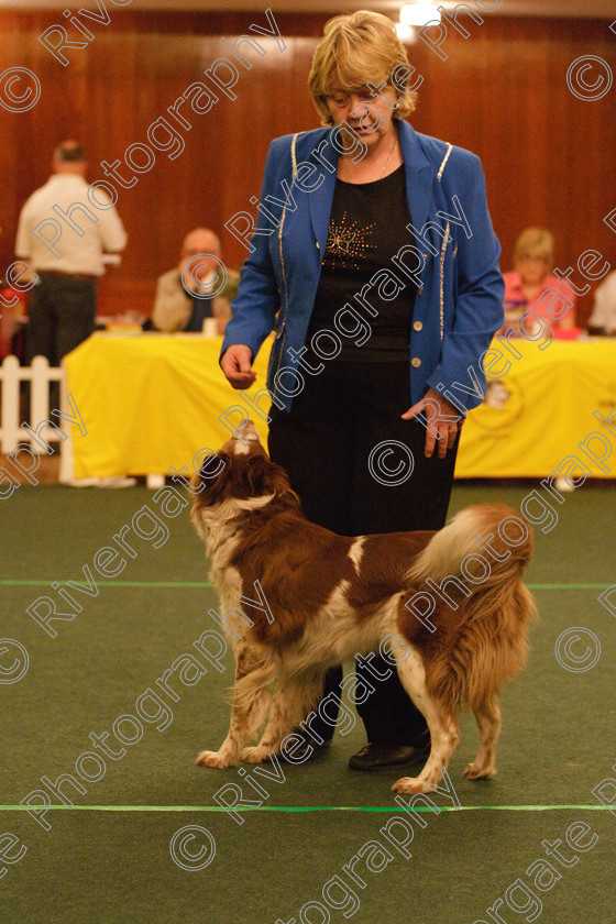 AWC 2033 
 Keywords: 2010, april, competition, heelwork to music, intermediate heelwork to music part 1, pat parsons, westglen