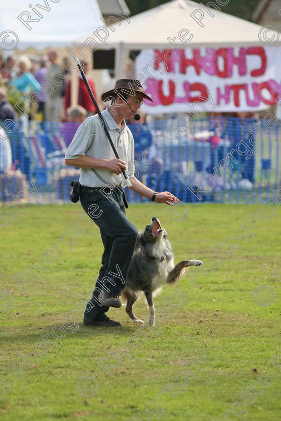 AWC 6918 
 Keywords: 2010, Chobham, Millbrook Animal Centre, RSPCA, Richard Curtis, arena demonstration, september