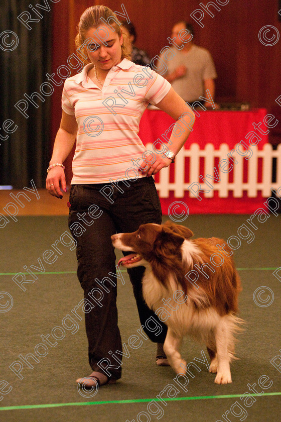 AWC 2283 
 Keywords: 2010, Nicci Hindson, april, competition, heelwork to music, novice heelwork to music part 2, west glen