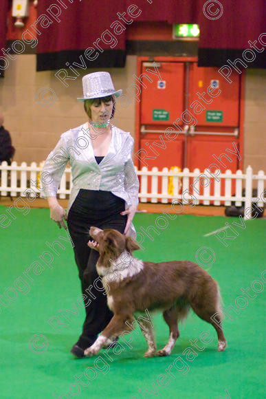 IMG 8633 
 Heelwork to Music and Canine Freestyle Competitions held at Westglen in April 2008 
 Keywords: 2008, Bilford Road, Perdiswell Leisure Centre, WR3 8DX, Worcester, april, cath hardman, competition, heelwork to music, westglen, kath hardman, advanced, htm