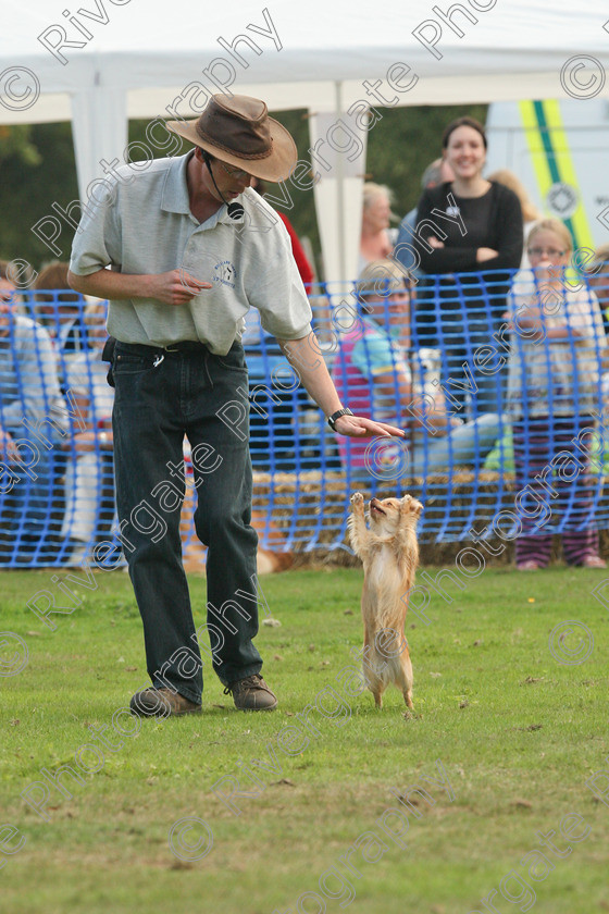 AWC 7126 
 Keywords: 2010, Chobham, Millbrook Animal Centre, RSPCA, Richard Curtis, arena demonstration, september