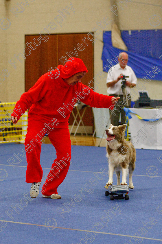 AWC 6769 
 Keywords: 2009, Ann Derizzio, Barnard Castle, Class 6b, County Durham, DL12 8DS, Heather Smith, Judges: Cathy Bates, May, Northern Mutts N Music, Royal Canin, Stillmore Lily the pink at Jessiebees, Strathmore Road, Teesdale Sports Centre, border collie, canine freestyle, competition, heelwork to music, maggie backhouse