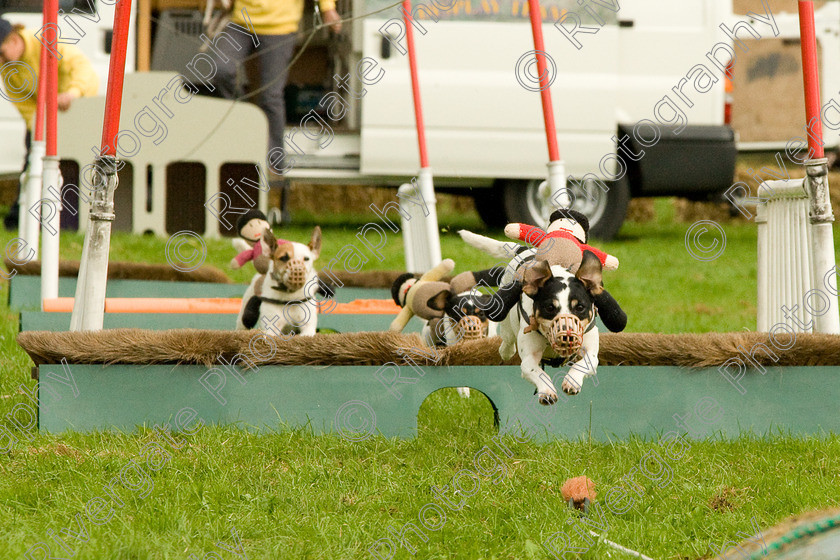 AWC 1836 
 Keywords: England, Lynch Field, UK, Wanborough, Wiltshire, arena demonstration, arena display, cyril the squirrel, terrier racing, wanborough country show