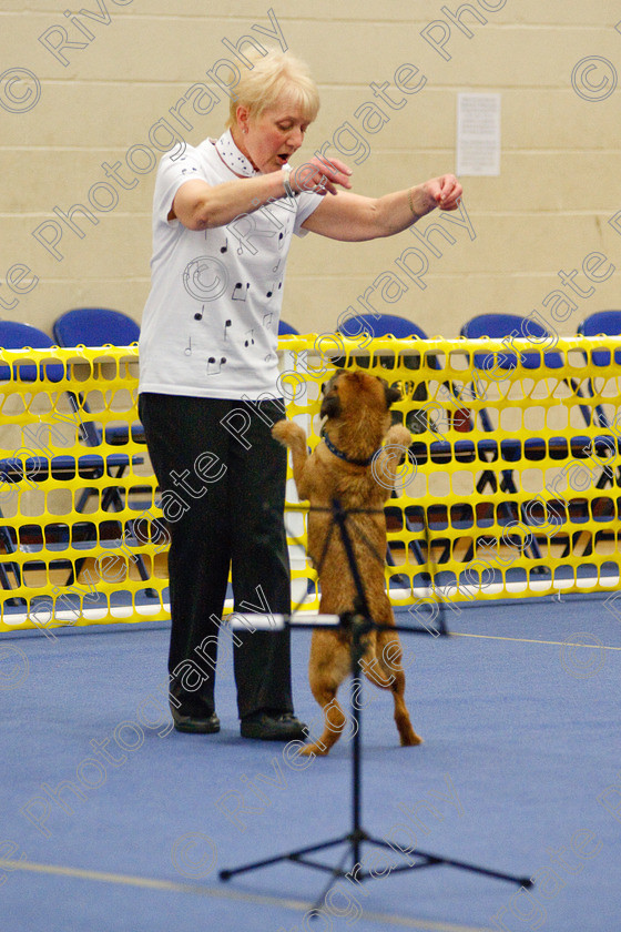 AWC 6313 
 Keywords: 2009, Anita Hartland, Ann Mavin, Barnard Castle, Border Terrier, County Durham, DL12 8DS, Foxcraig Minstrel, Judges Jeanette Fyfe, May, Northern Mutts N Music, Royal Canin, Starters Freestyle, Strathmore Road, Teesdale Sports Centre, canine freestyle, competition, heelwork to music, penny draper