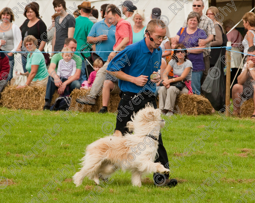 AWC 1371 
 Wanborough Country Show, August 2009, Richard Curtis' K9freestyle Dancing Dog Arena Display 
 Keywords: 2009, arena demonstration, arena display, august, canine freestyle, dog dancing, dog display, England, heelwork to music, k9freestyle, Lynch Field, Lynch Field, Wanborough, Wiltshire, England, UK, richard curtis, UK, wanborough country show, Wanborough, Wiltshire